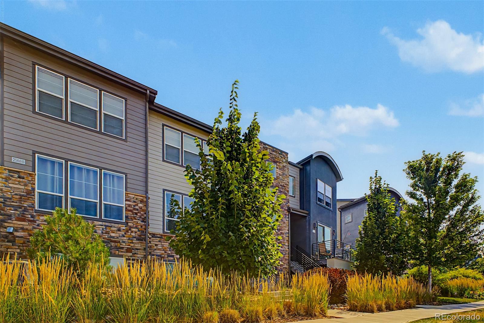 MLS Image #2 for 2586  meadows boulevard,castle rock, Colorado