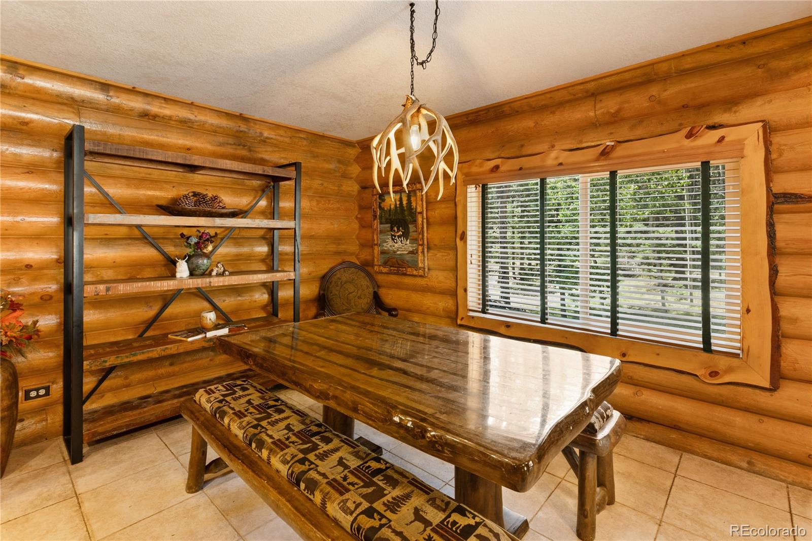 MLS Image #11 for 734  kutsu ridge road,florissant, Colorado