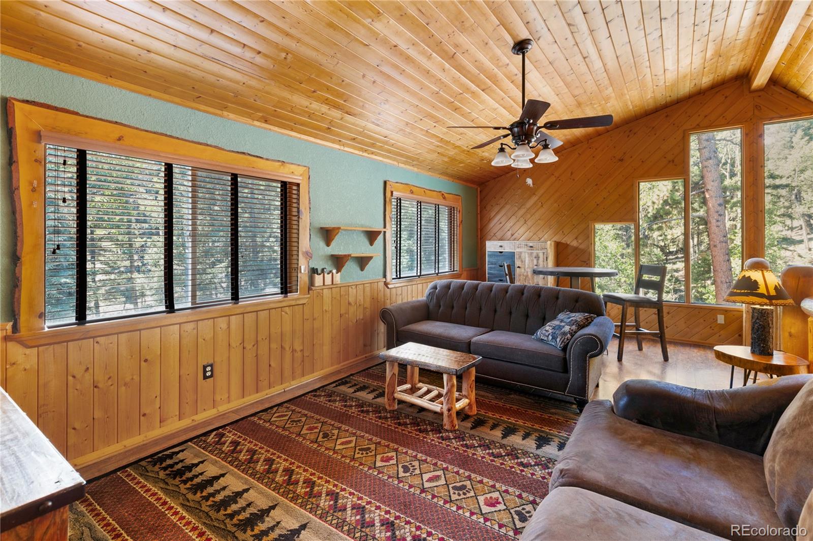 MLS Image #17 for 734  kutsu ridge road,florissant, Colorado