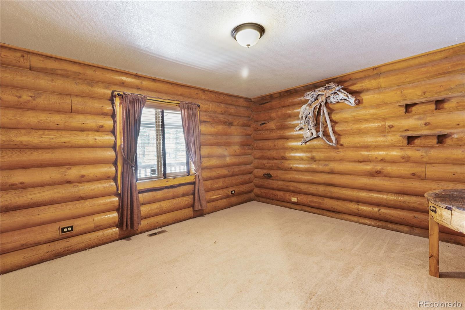 MLS Image #20 for 734  kutsu ridge road,florissant, Colorado