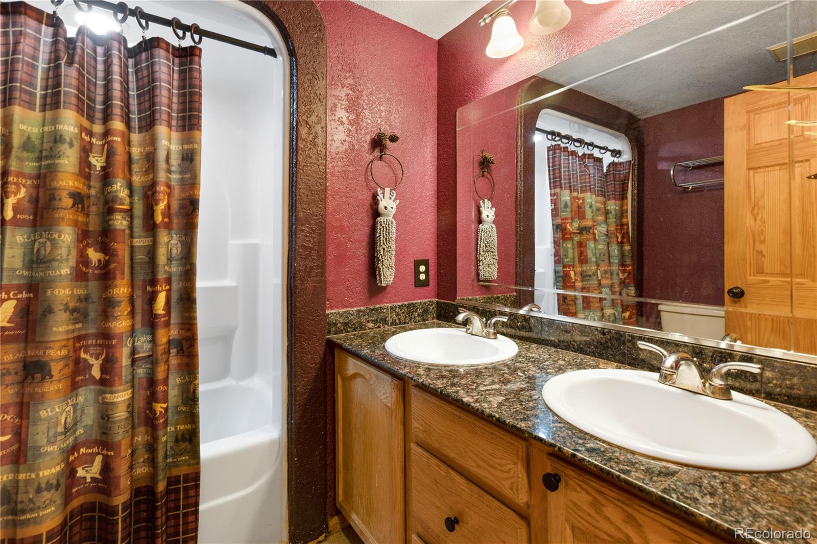 MLS Image #22 for 734  kutsu ridge road,florissant, Colorado