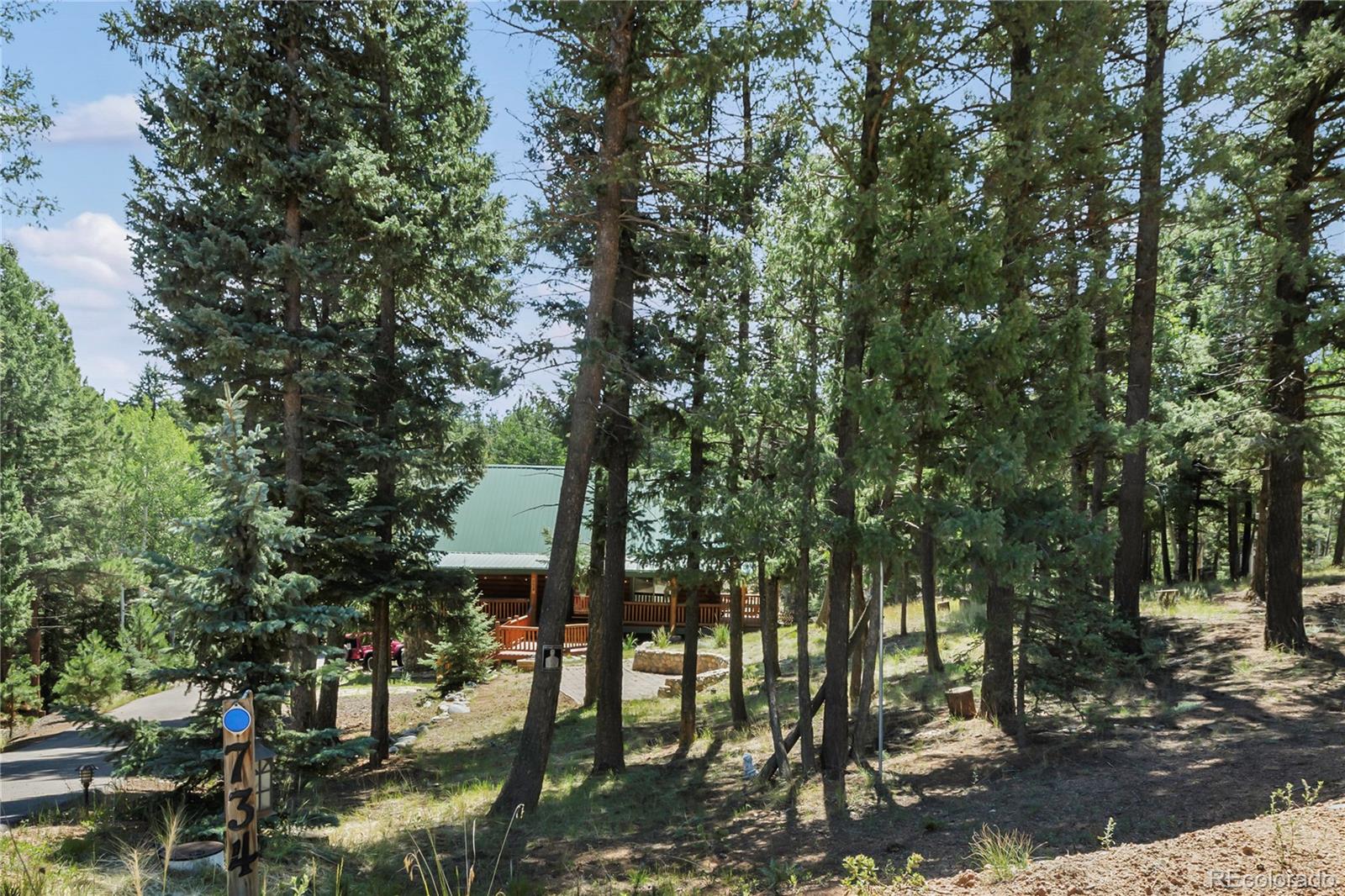 MLS Image #36 for 734  kutsu ridge road,florissant, Colorado