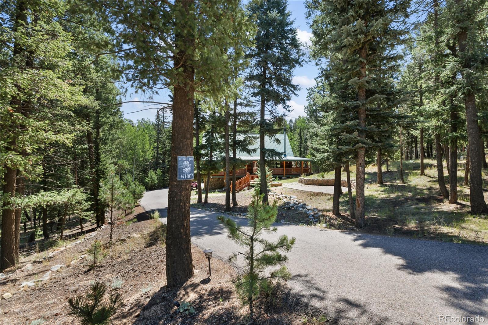 MLS Image #38 for 734  kutsu ridge road,florissant, Colorado