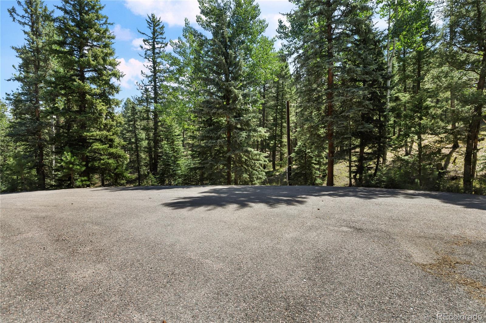 MLS Image #40 for 734  kutsu ridge road,florissant, Colorado
