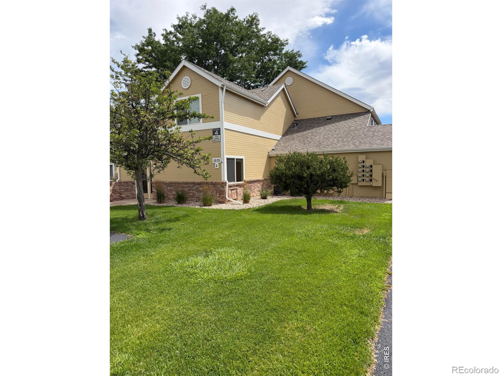 MLS Image #5 for 1020  rolland moore drive,fort collins, Colorado