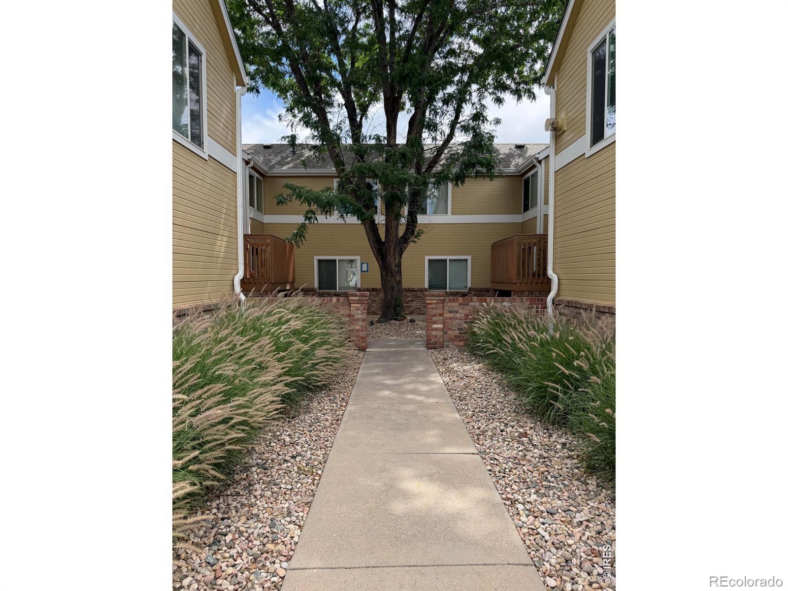 MLS Image #6 for 1020  rolland moore drive,fort collins, Colorado