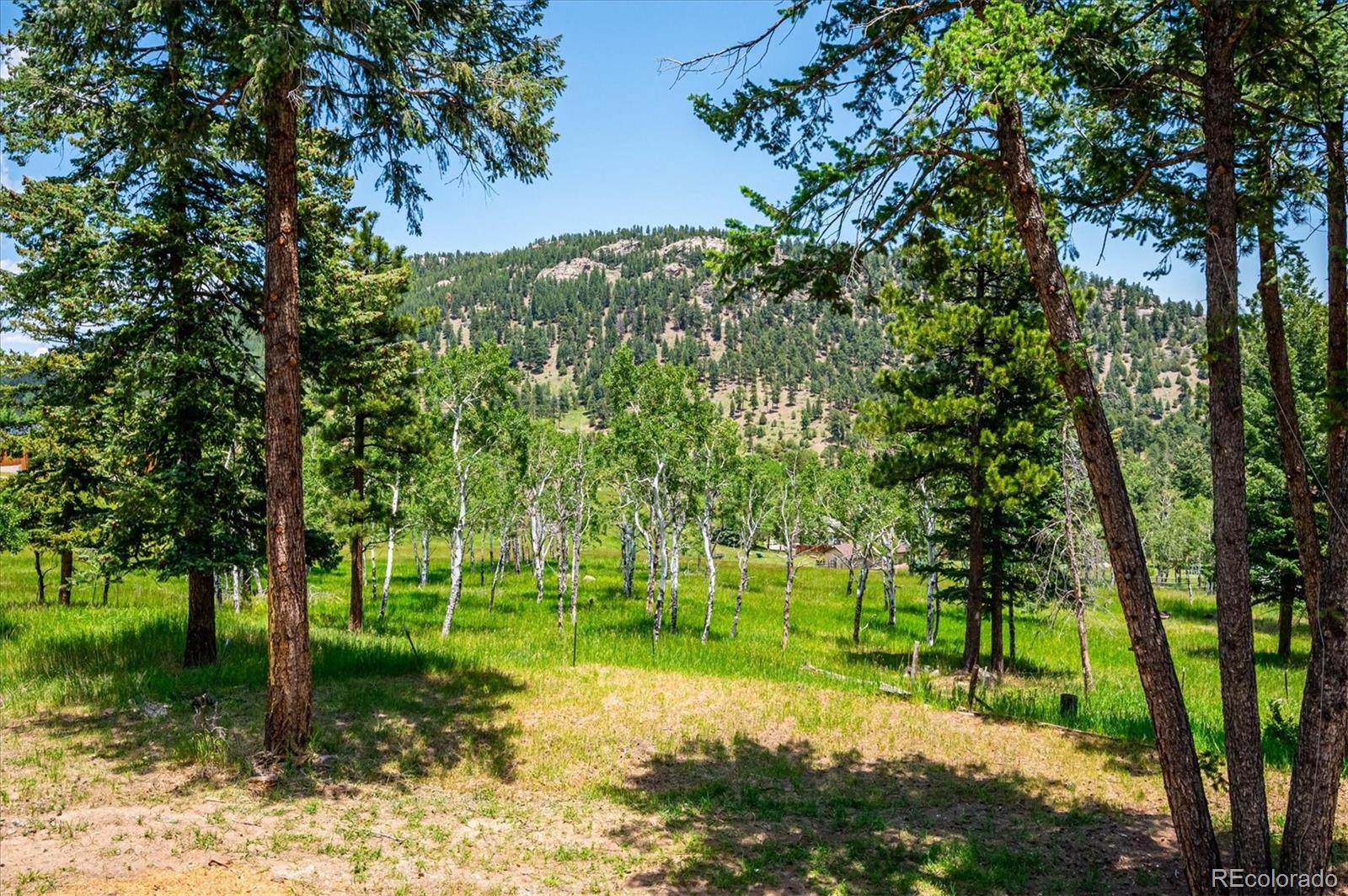 MLS Image #28 for 6528  modoc lane,evergreen, Colorado