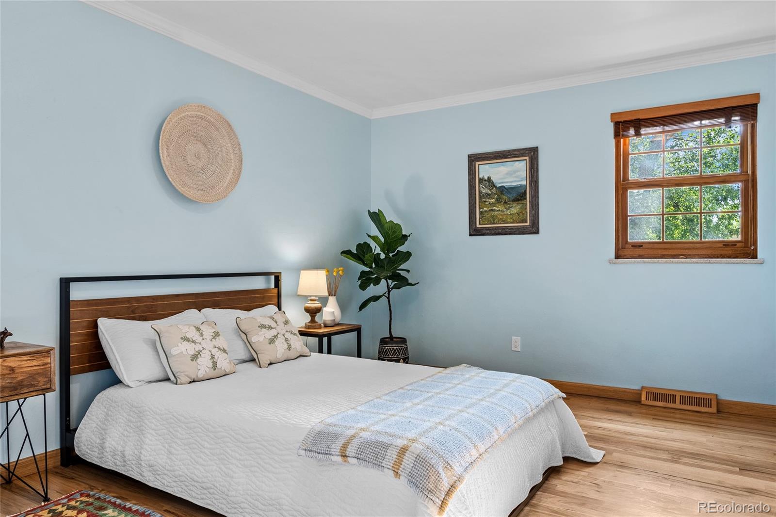 MLS Image #35 for 6013  youngfield street,arvada, Colorado