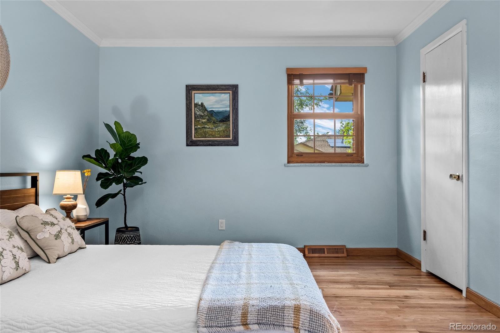 MLS Image #36 for 6013  youngfield street,arvada, Colorado