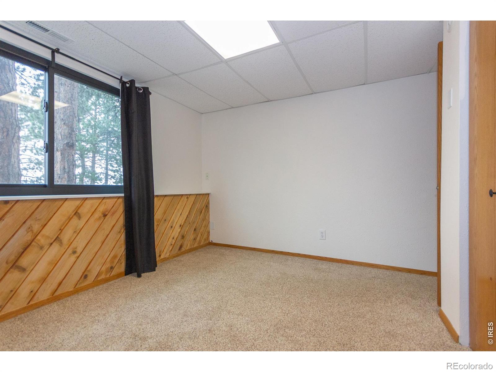 MLS Image #16 for 1001  bald mountain drive,livermore, Colorado