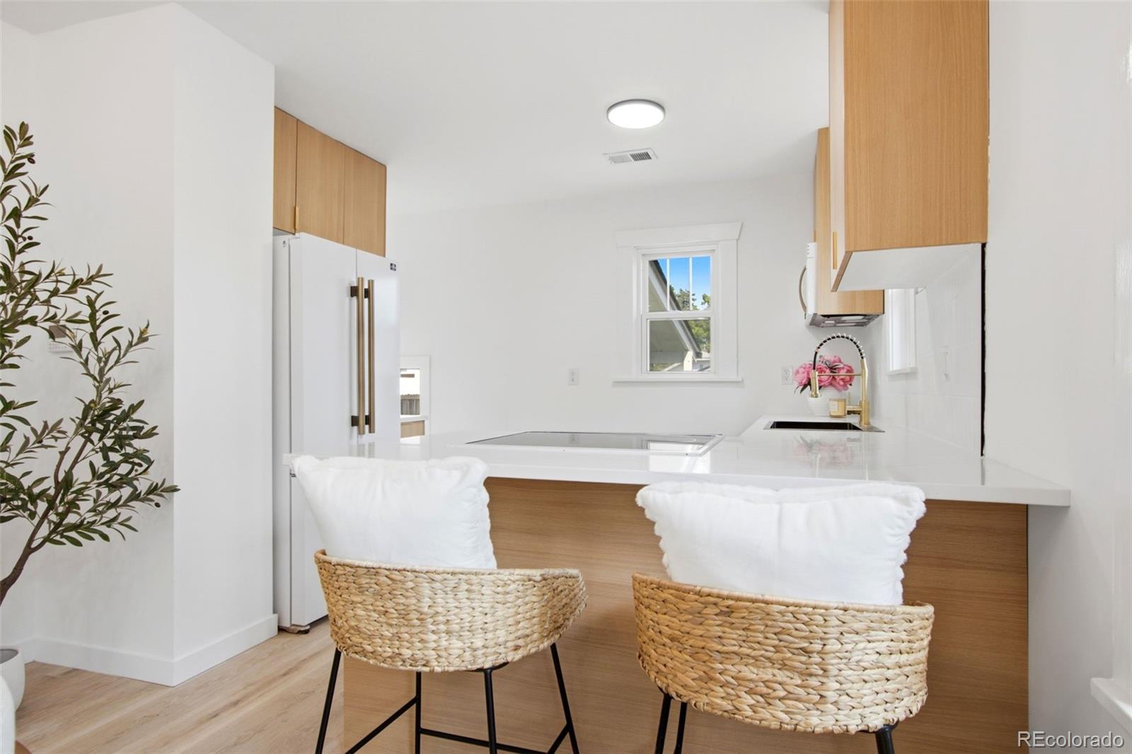 MLS Image #8 for 2258 s corona street,denver, Colorado