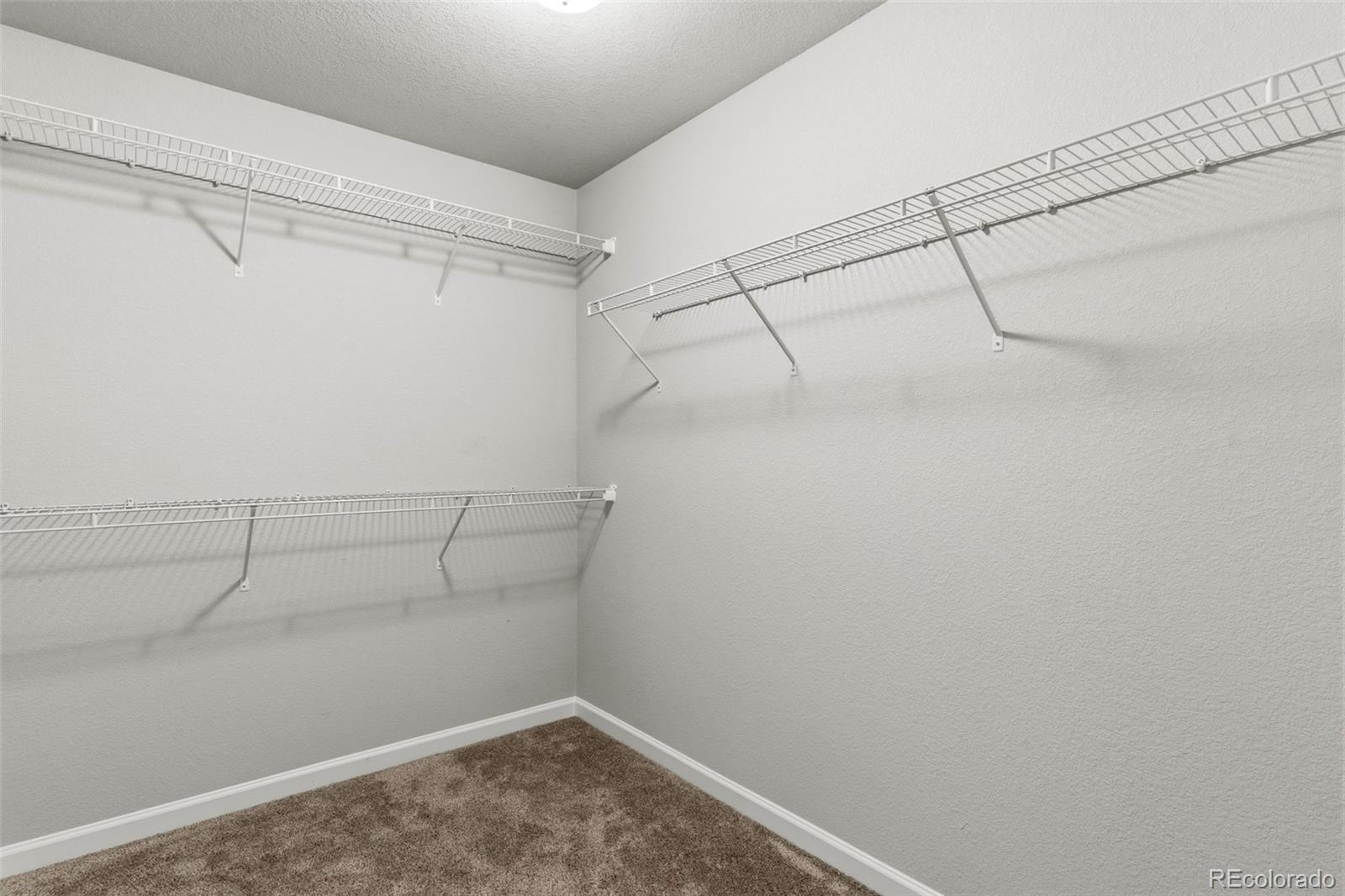 MLS Image #25 for 4055  tiberias point,colorado springs, Colorado