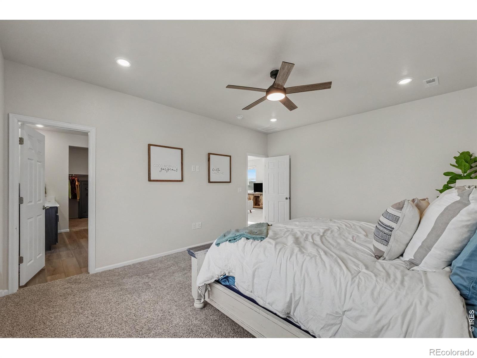 MLS Image #12 for 1650  rumley creek drive,windsor, Colorado
