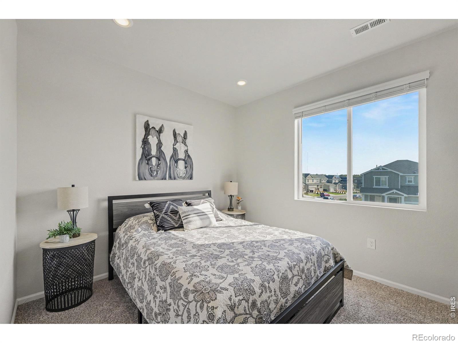 MLS Image #14 for 1650  rumley creek drive,windsor, Colorado
