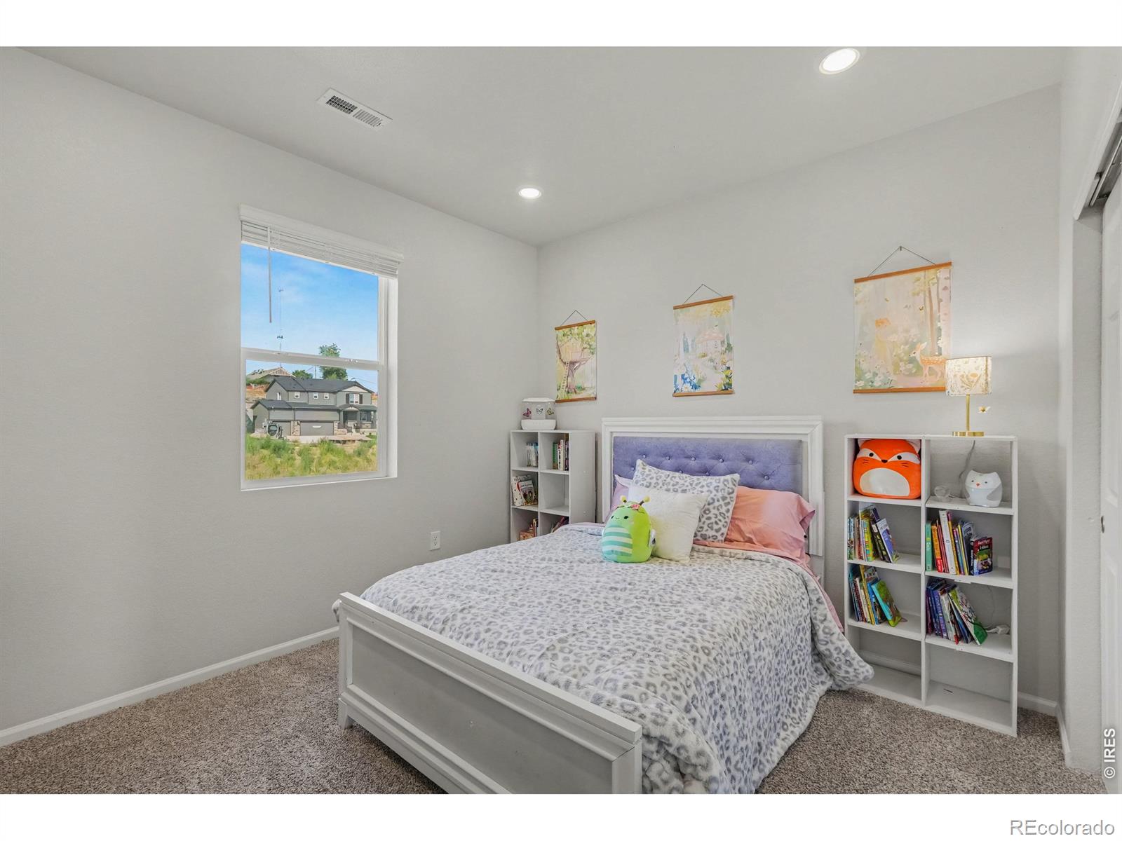 MLS Image #17 for 1650  rumley creek drive,windsor, Colorado