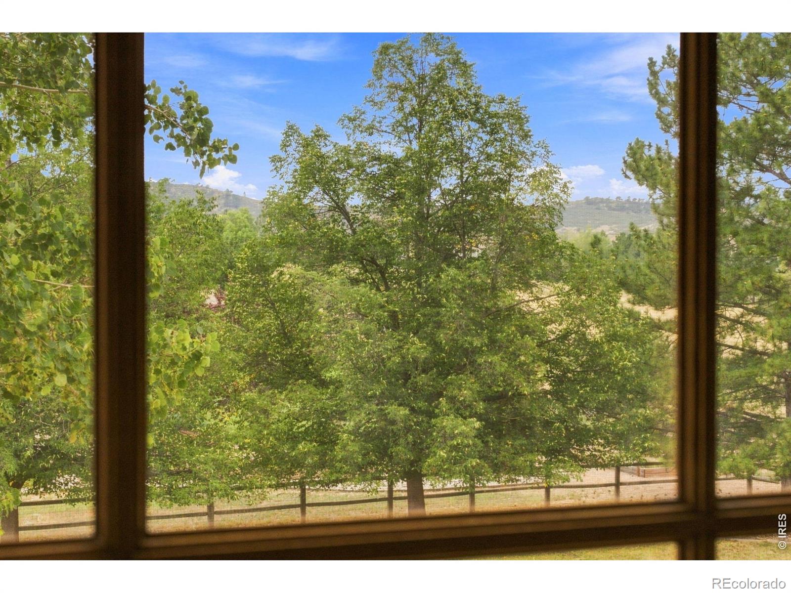 MLS Image #29 for 6342  wild plum drive,loveland, Colorado