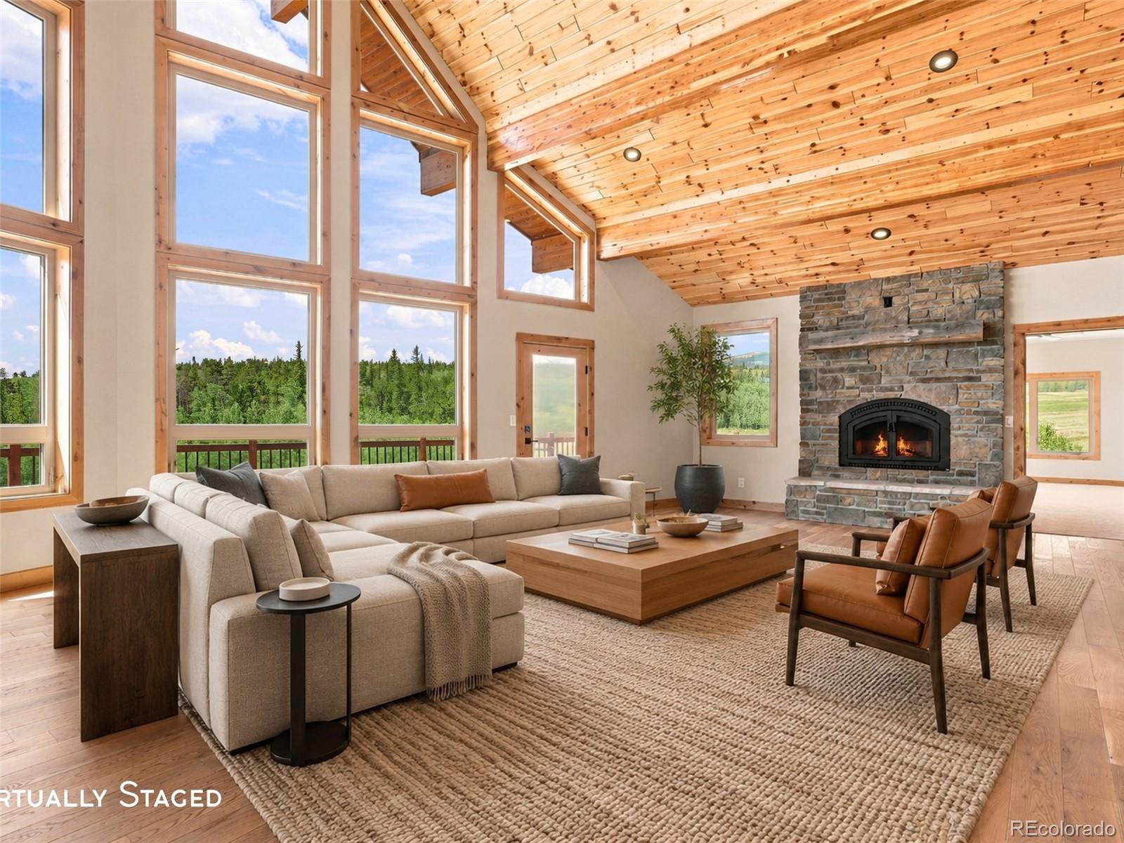 MLS Image #11 for 1619  bluestem way,fairplay, Colorado