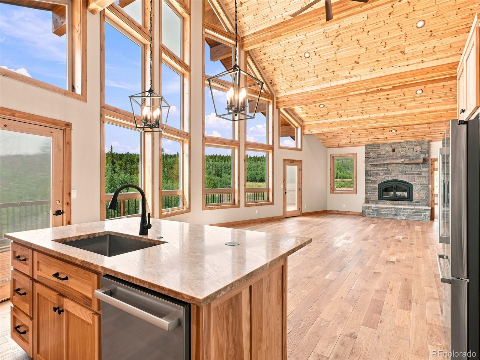 MLS Image #13 for 1619  bluestem way,fairplay, Colorado