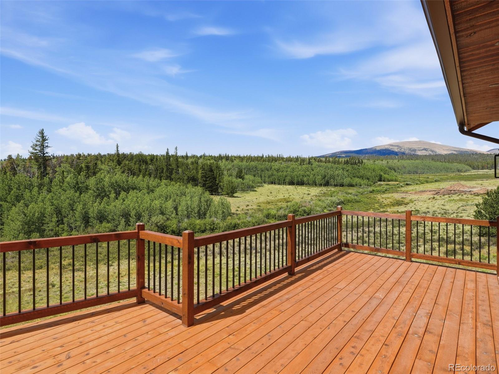 MLS Image #6 for 1619  bluestem way,fairplay, Colorado