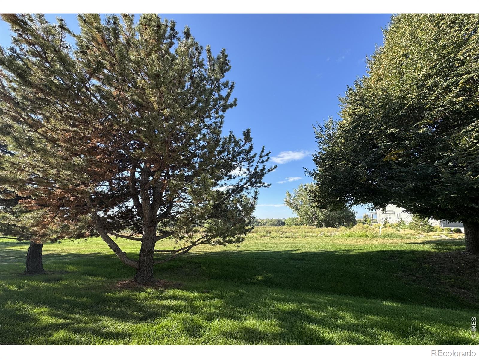 MLS Image #2 for 1601  great western drive,longmont, Colorado