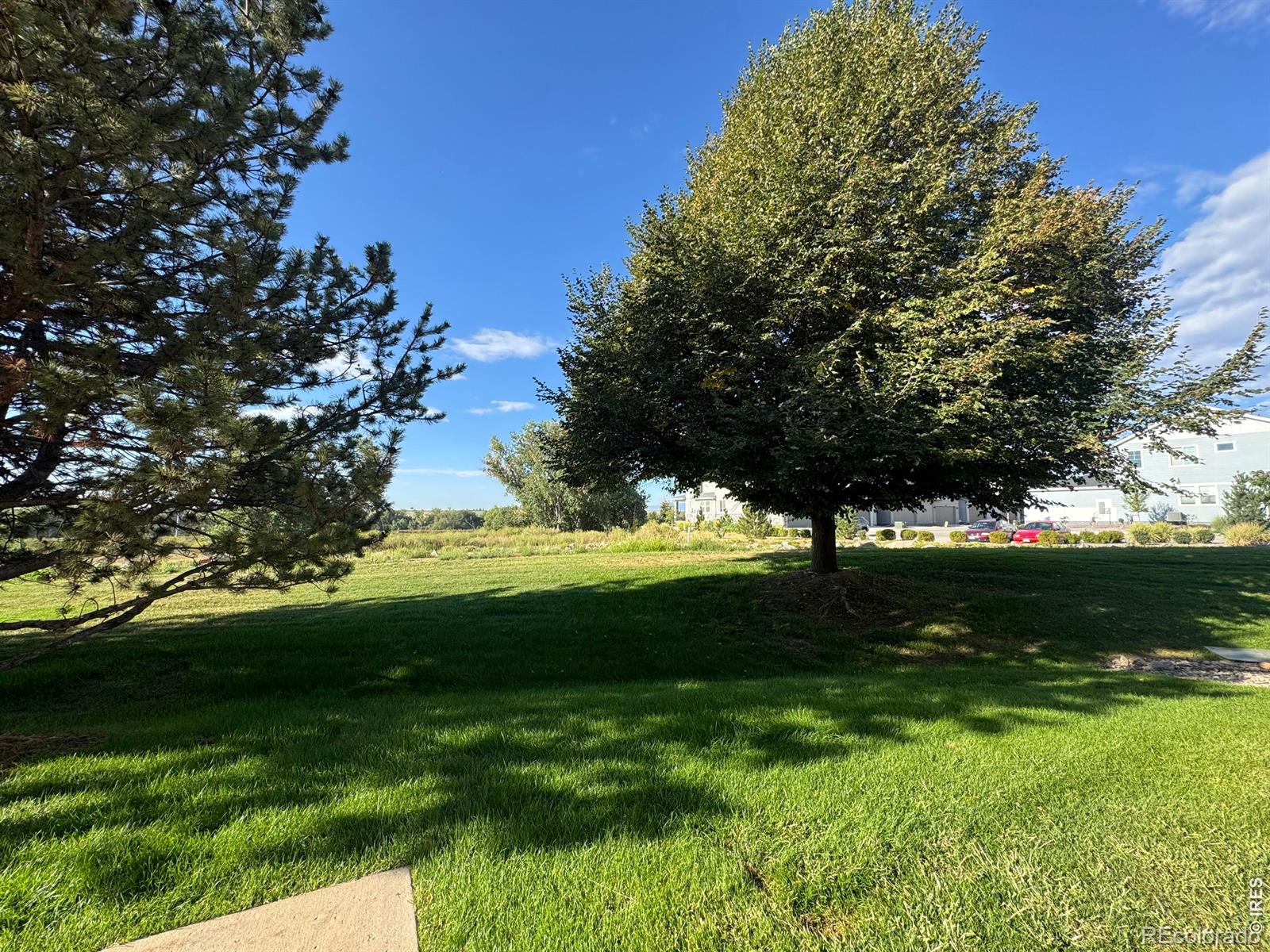 MLS Image #21 for 1601  great western drive,longmont, Colorado