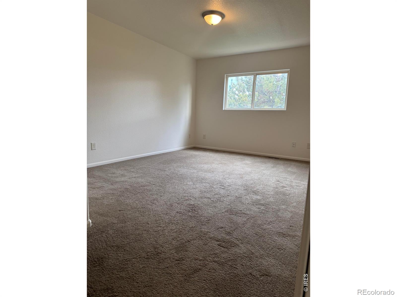 MLS Image #9 for 1601  great western drive,longmont, Colorado