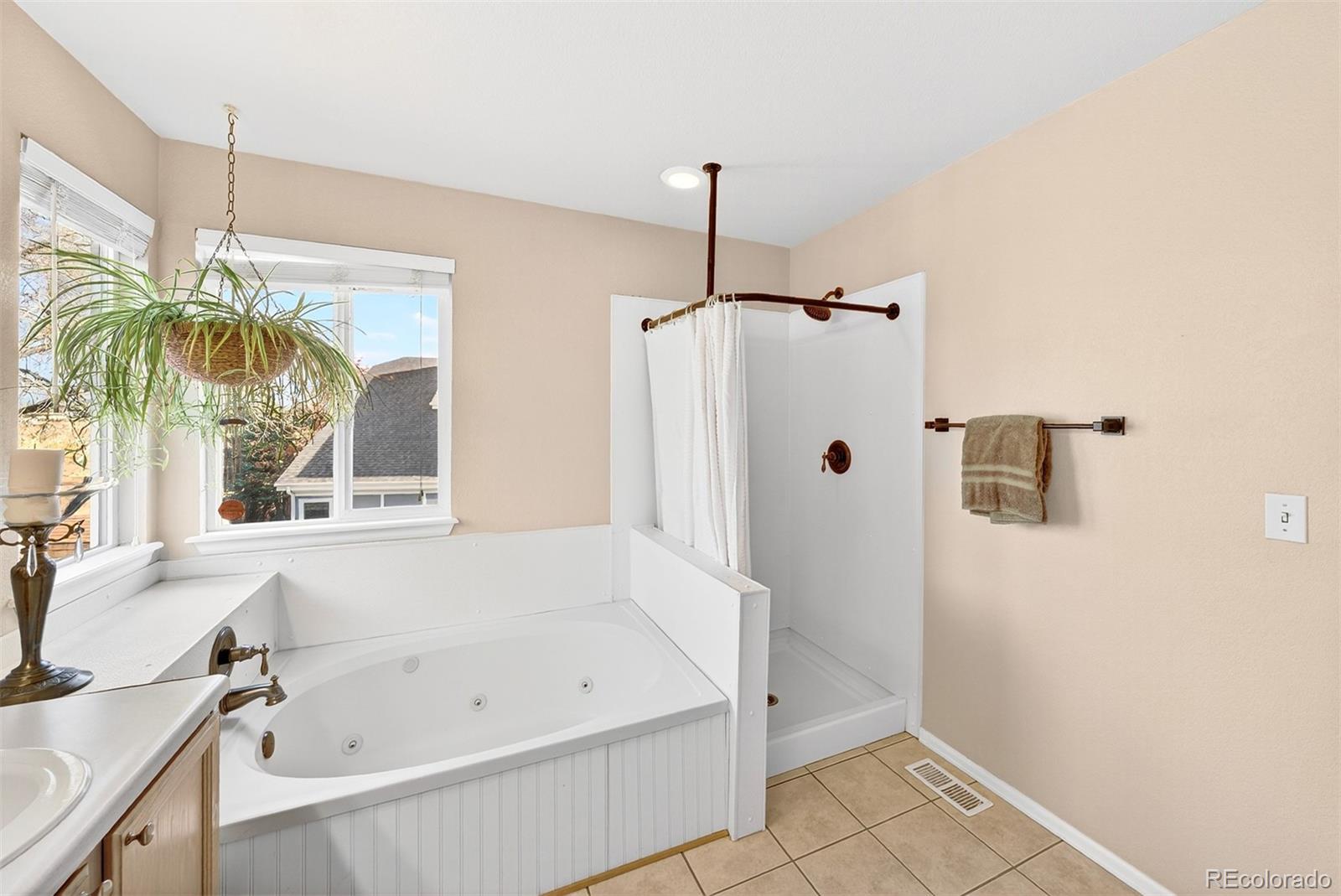 MLS Image #22 for 10099  silvercliff lane,littleton, Colorado