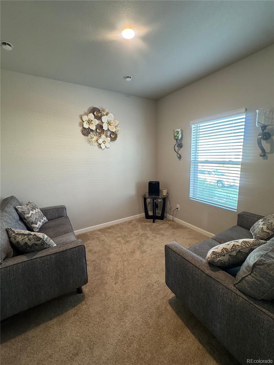 MLS Image #11 for 1120  gianna avenue,fort lupton, Colorado