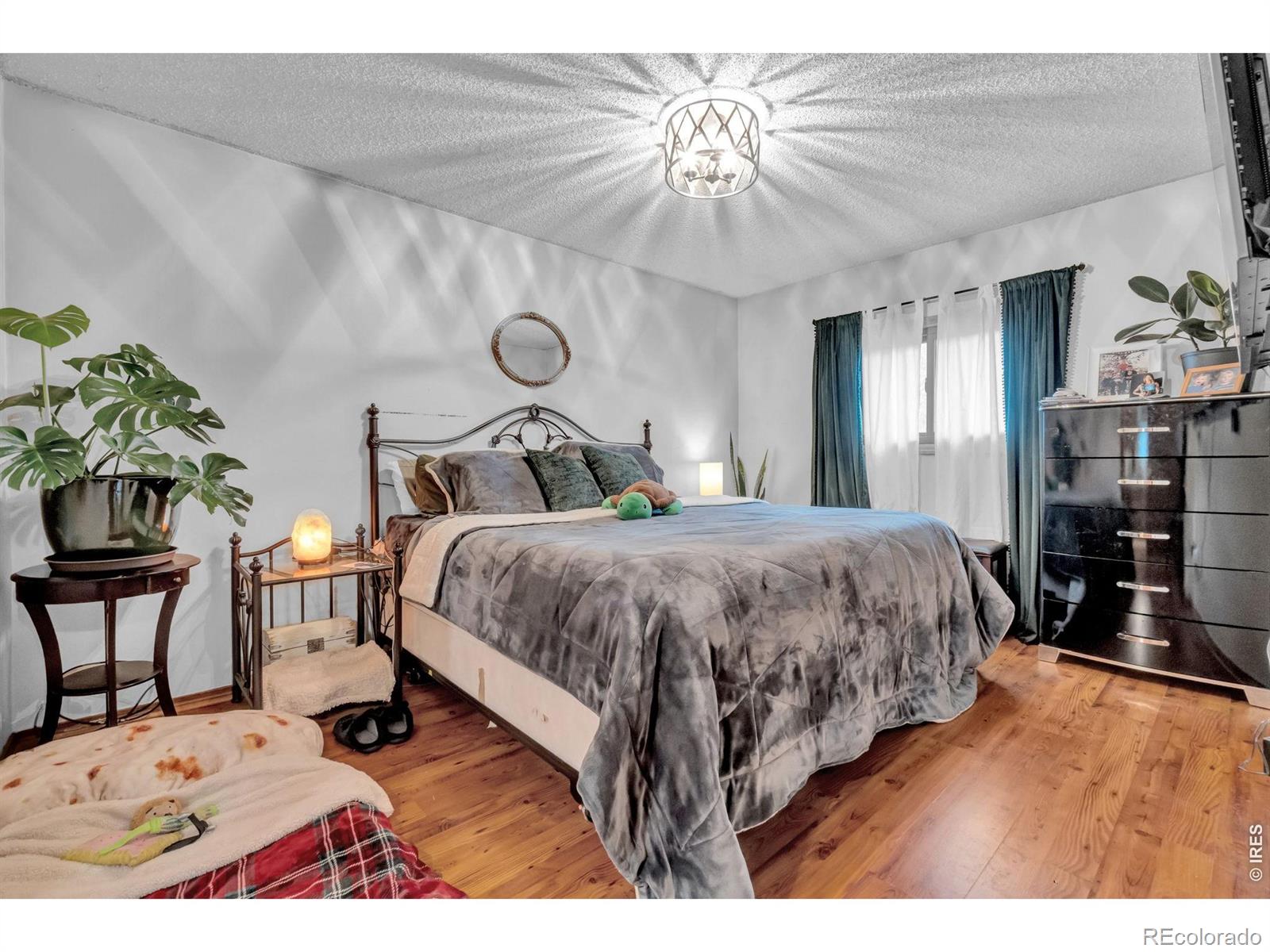 MLS Image #8 for 2838  morgan court,fort collins, Colorado