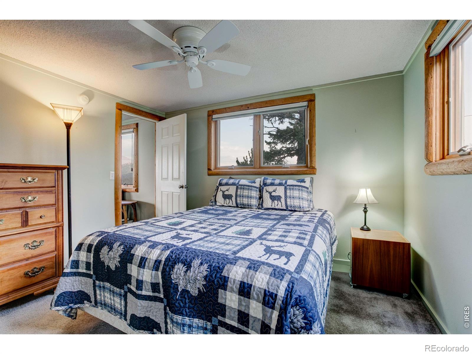 MLS Image #16 for 301  pine tree drive,estes park, Colorado