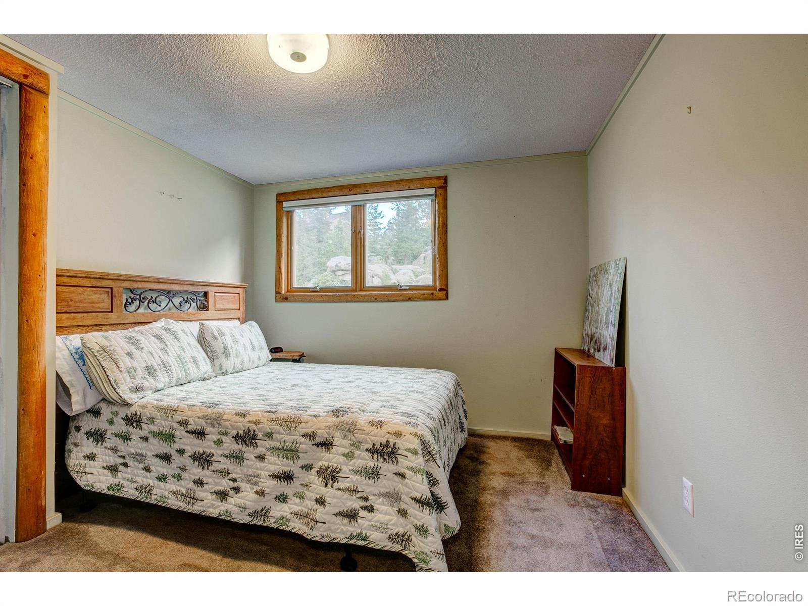 MLS Image #17 for 301  pine tree drive,estes park, Colorado