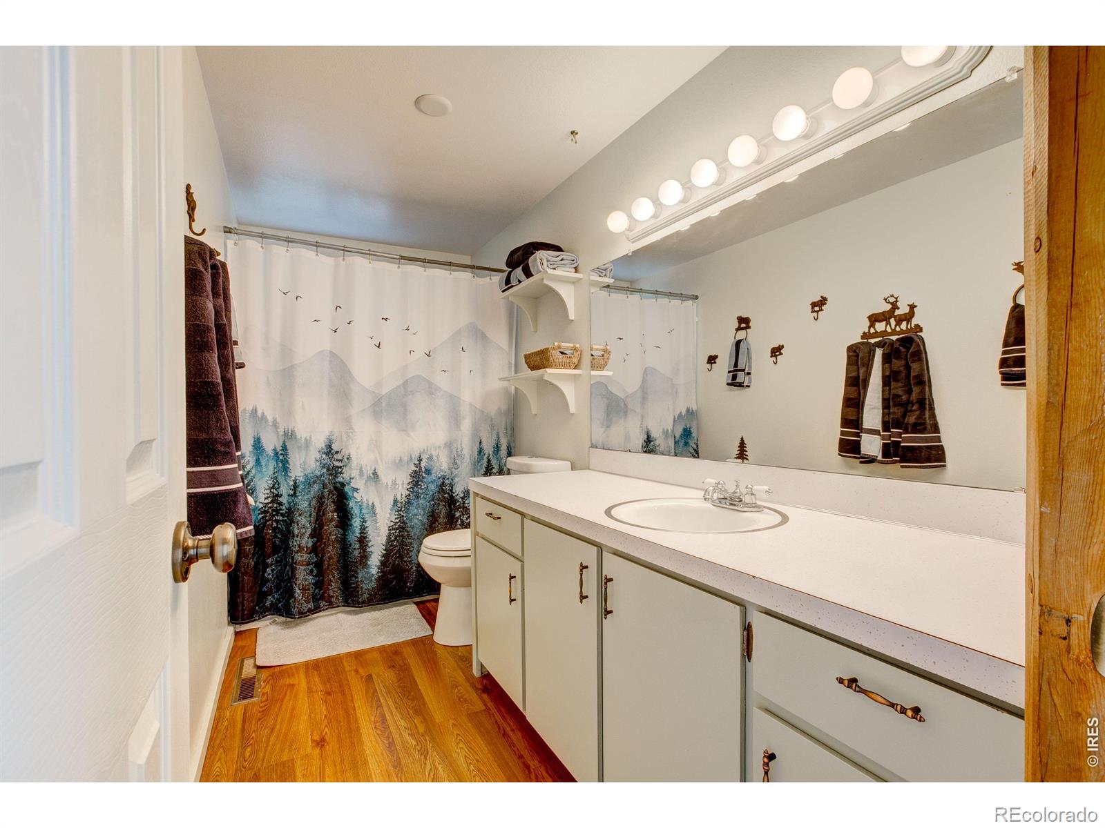 MLS Image #18 for 301  pine tree drive,estes park, Colorado