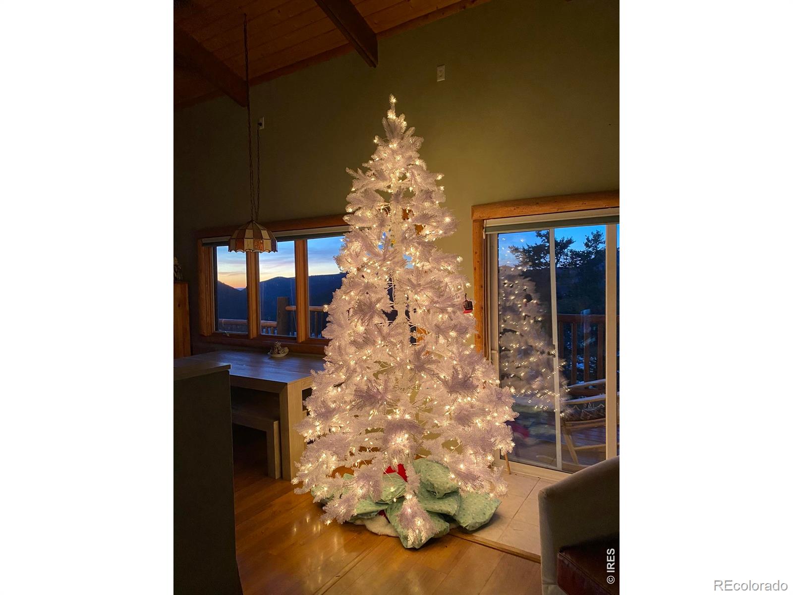 MLS Image #39 for 301  pine tree drive,estes park, Colorado