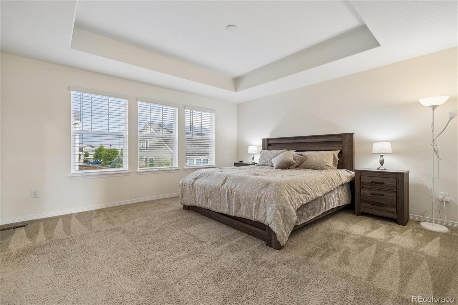 MLS Image #15 for 13440  magnolia street,brighton, Colorado