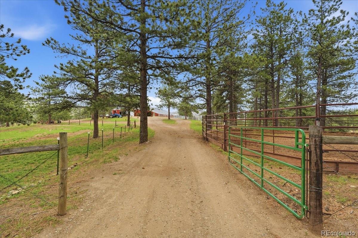 MLS Image #11 for 89  aspen leaf lane,bellvue, Colorado
