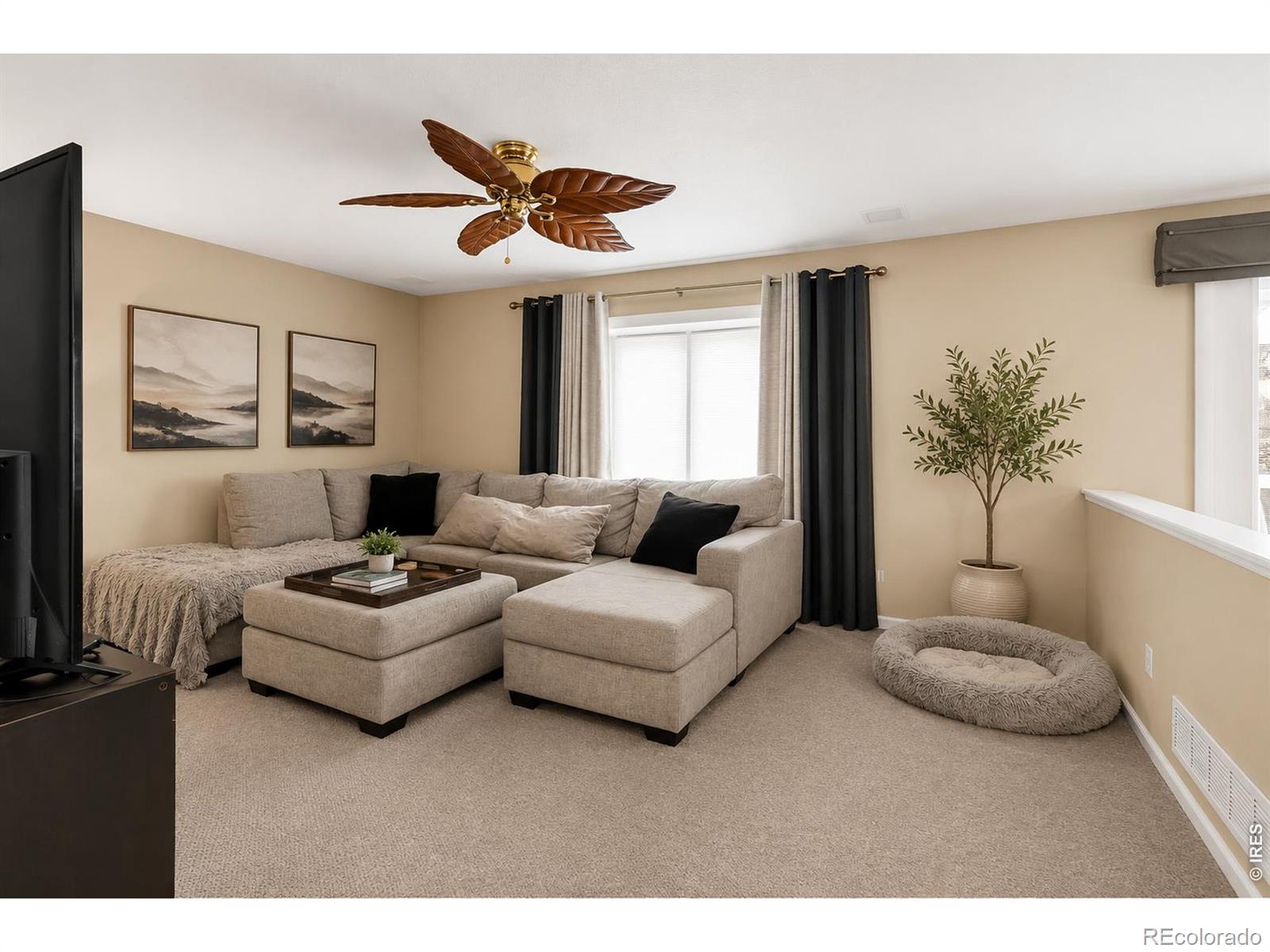MLS Image #13 for 11361  ebony street,firestone, Colorado
