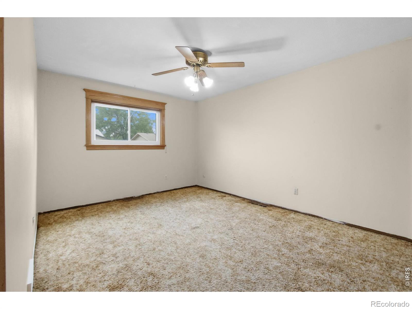 MLS Image #16 for 1316  19th avenue,longmont, Colorado