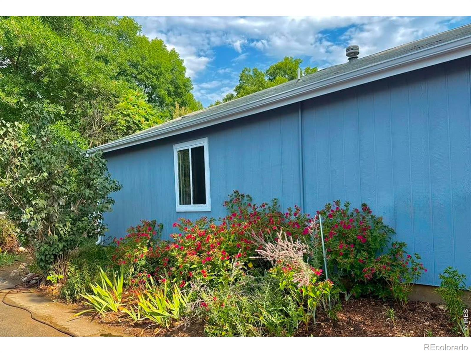 MLS Image #18 for 618  joanne street,fort collins, Colorado