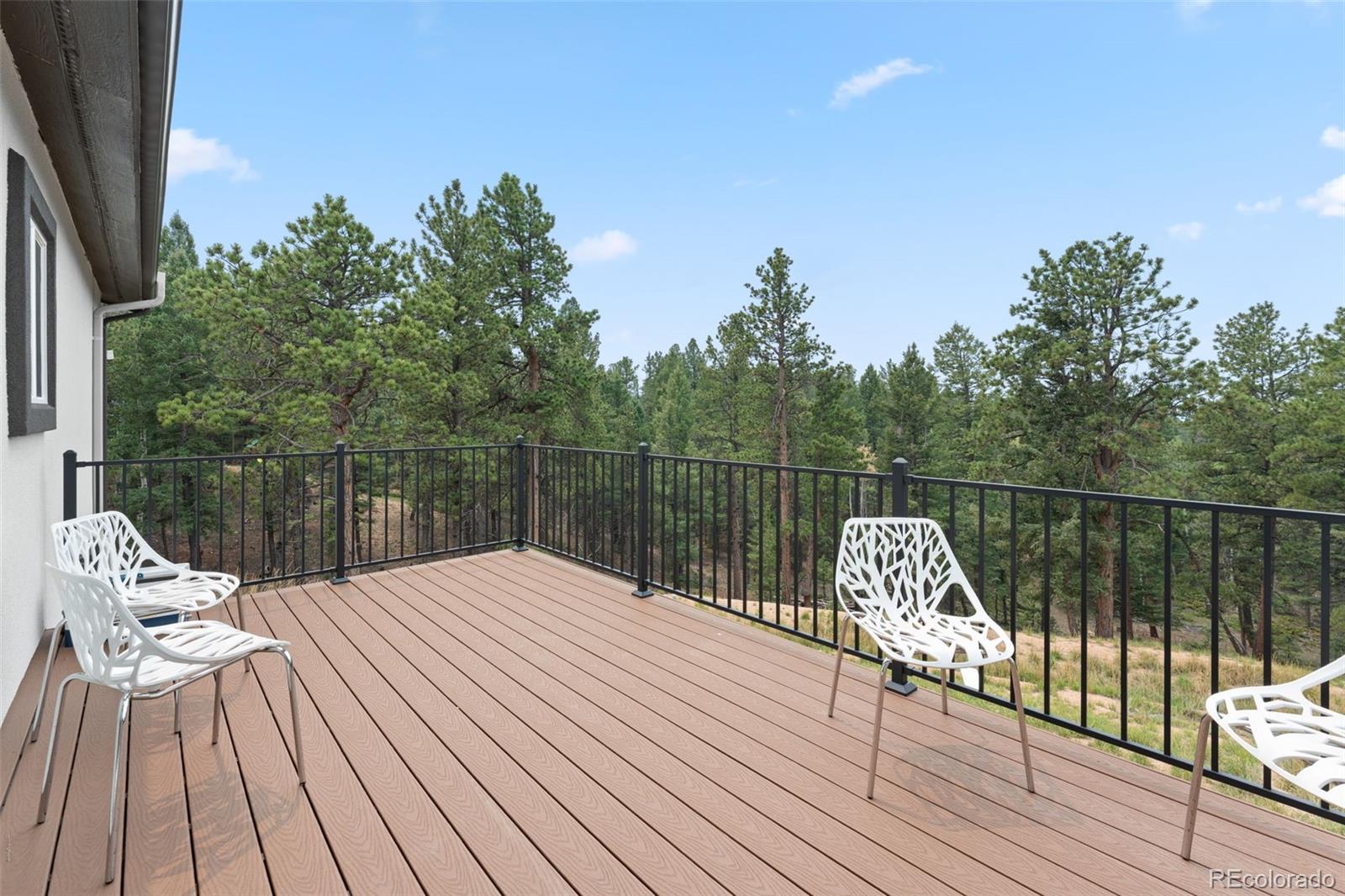 MLS Image #26 for 485  gerka lane,florissant, Colorado