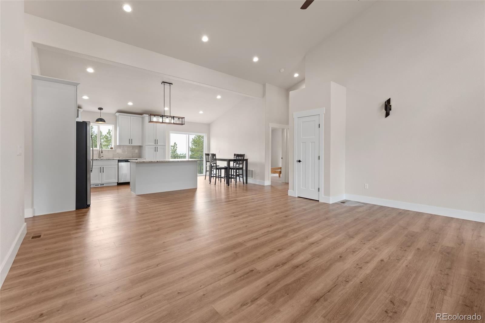 MLS Image #4 for 485  gerka lane,florissant, Colorado
