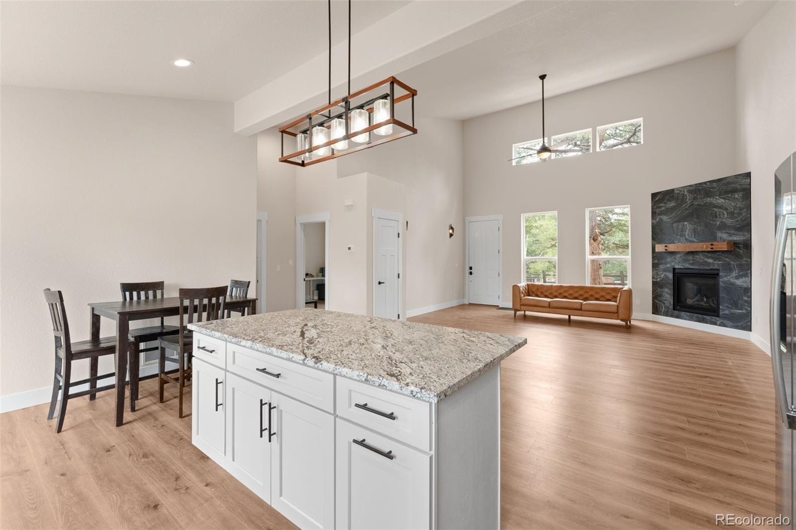 MLS Image #5 for 485  gerka lane,florissant, Colorado