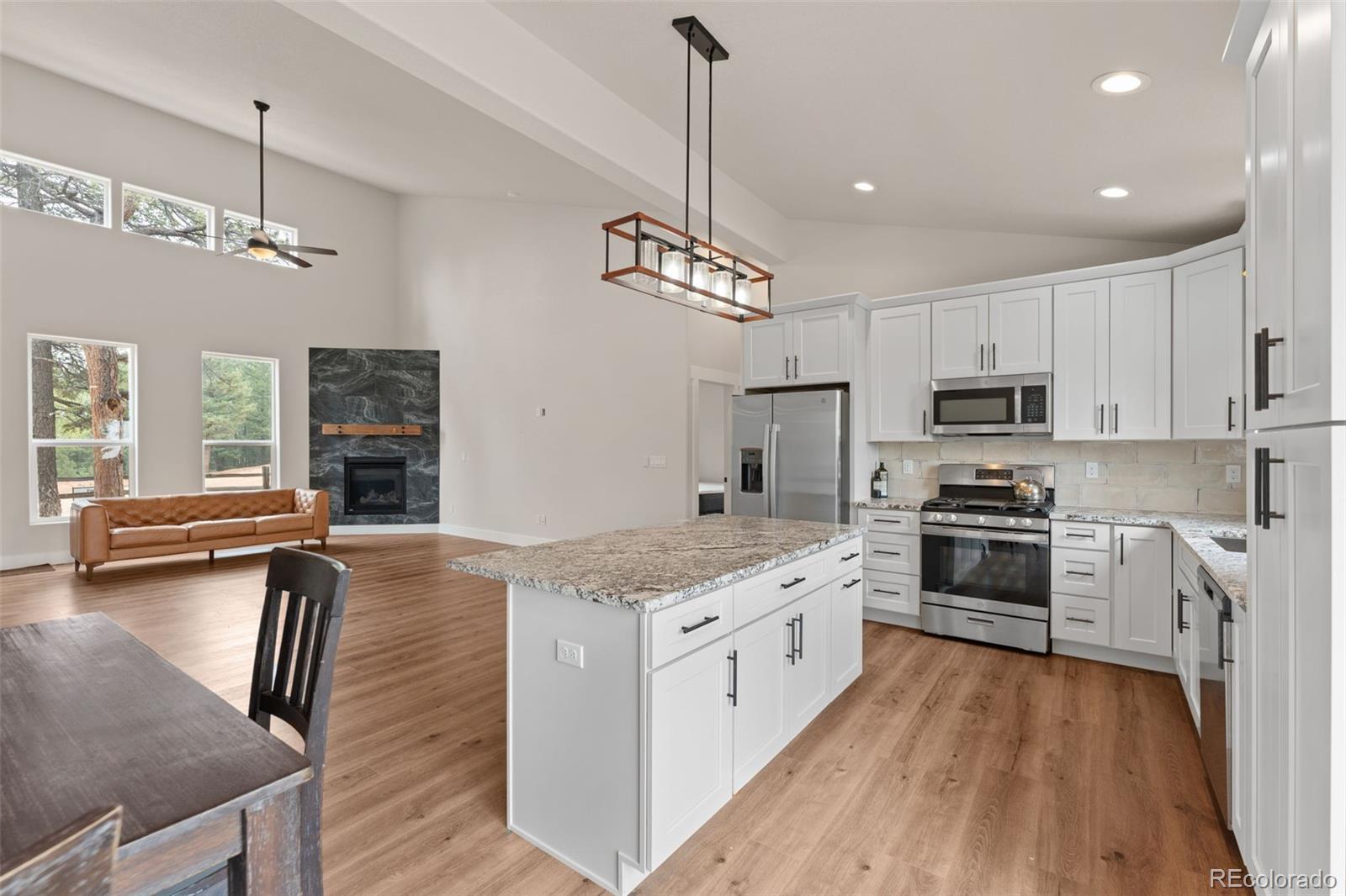 MLS Image #6 for 485  gerka lane,florissant, Colorado