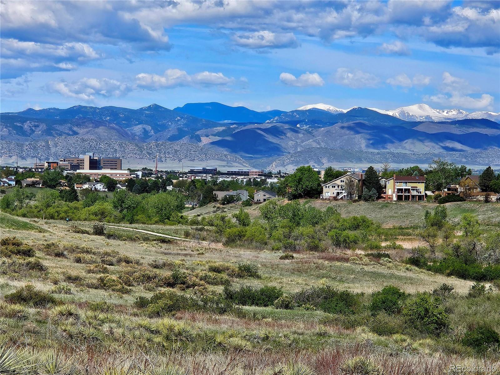 MLS Image #41 for 1942  sundrop trail,highlands ranch, Colorado