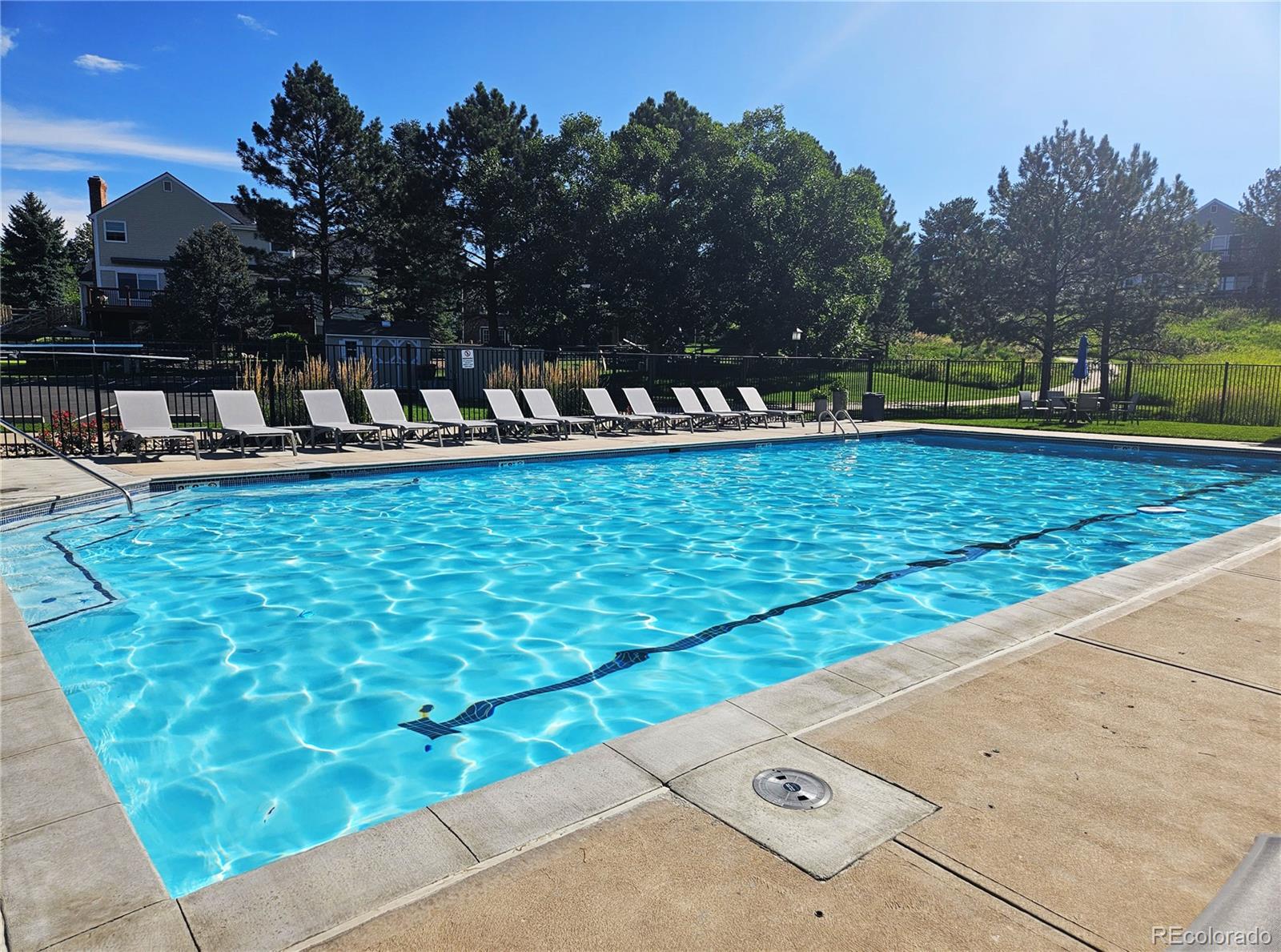 MLS Image #42 for 1942  sundrop trail,highlands ranch, Colorado