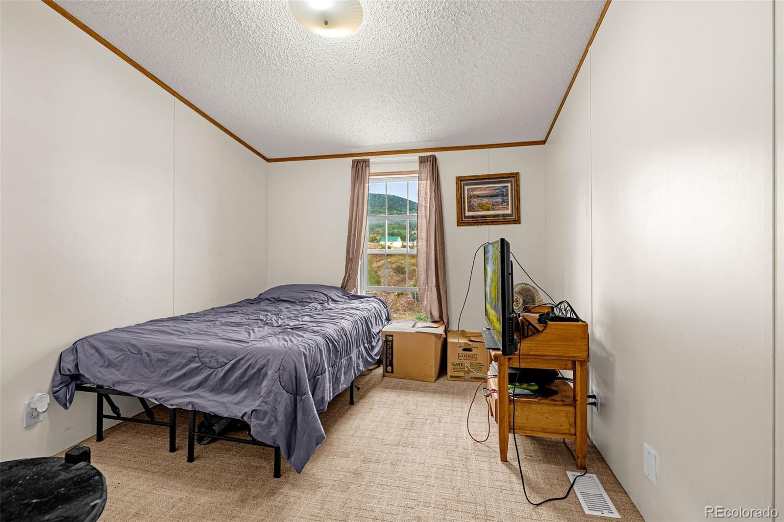 MLS Image #13 for 213 s 1st street,victor, Colorado