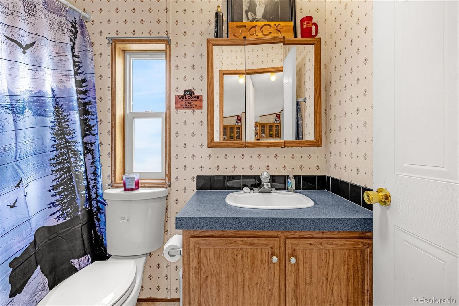 MLS Image #14 for 213 s 1st street,victor, Colorado