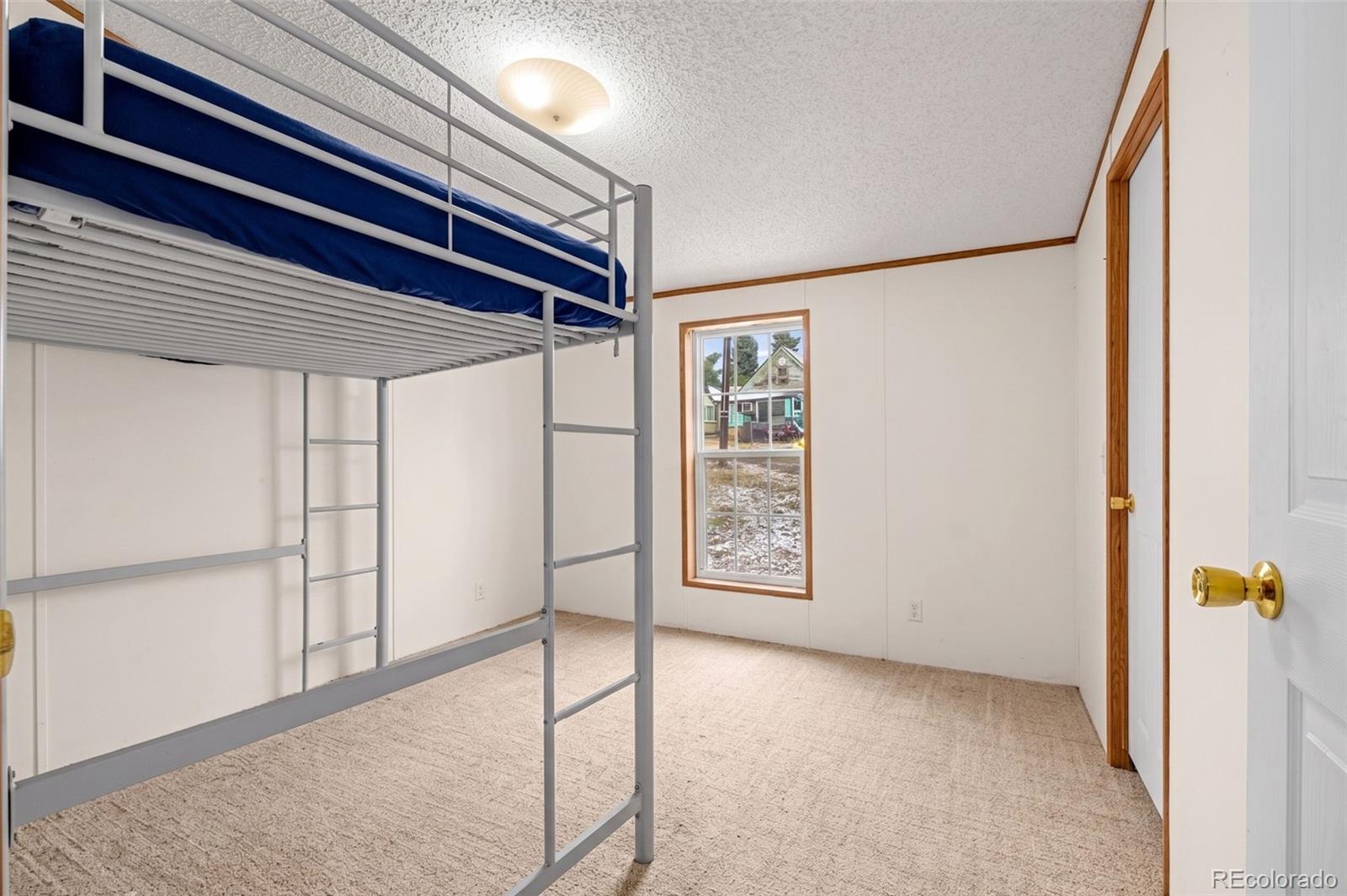 MLS Image #15 for 213 s 1st street,victor, Colorado