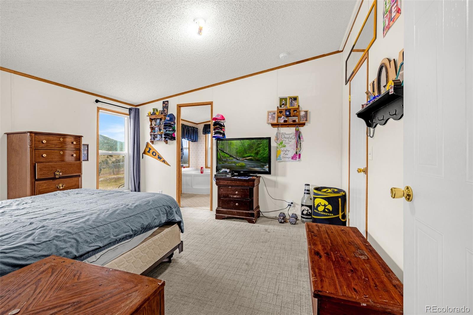 MLS Image #16 for 213 s 1st street,victor, Colorado