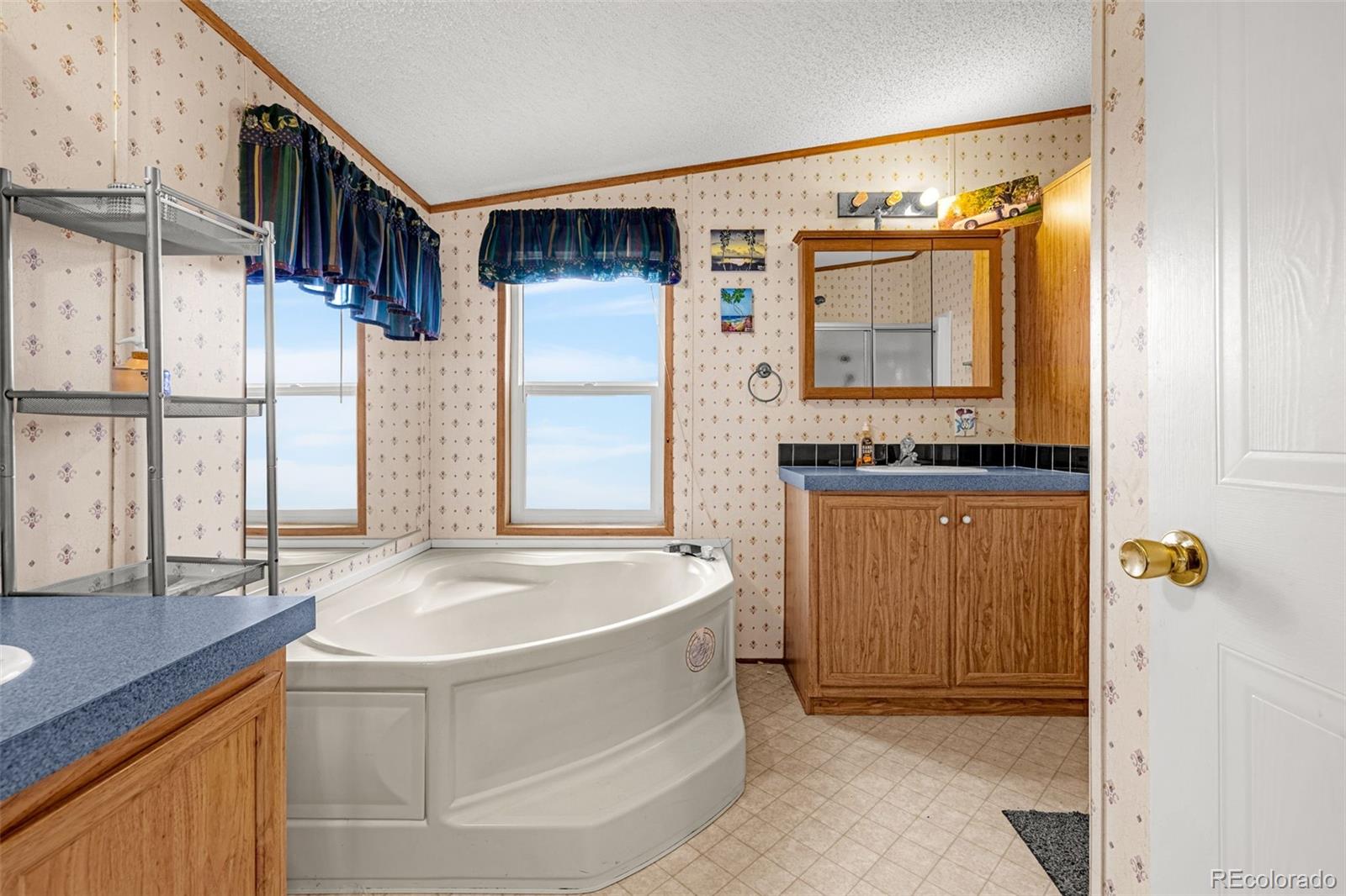 MLS Image #18 for 213 s 1st street,victor, Colorado