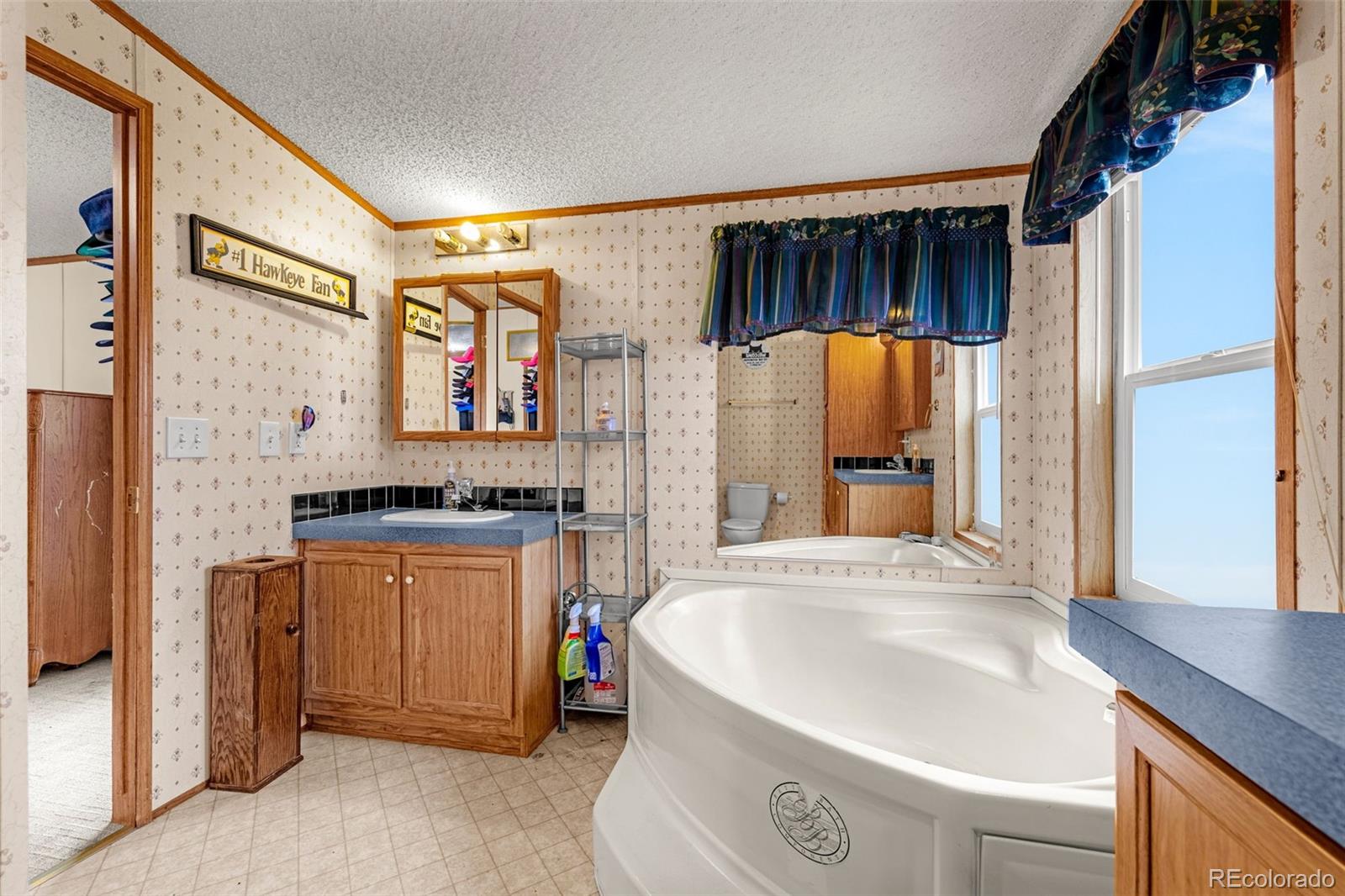 MLS Image #19 for 213 s 1st street,victor, Colorado
